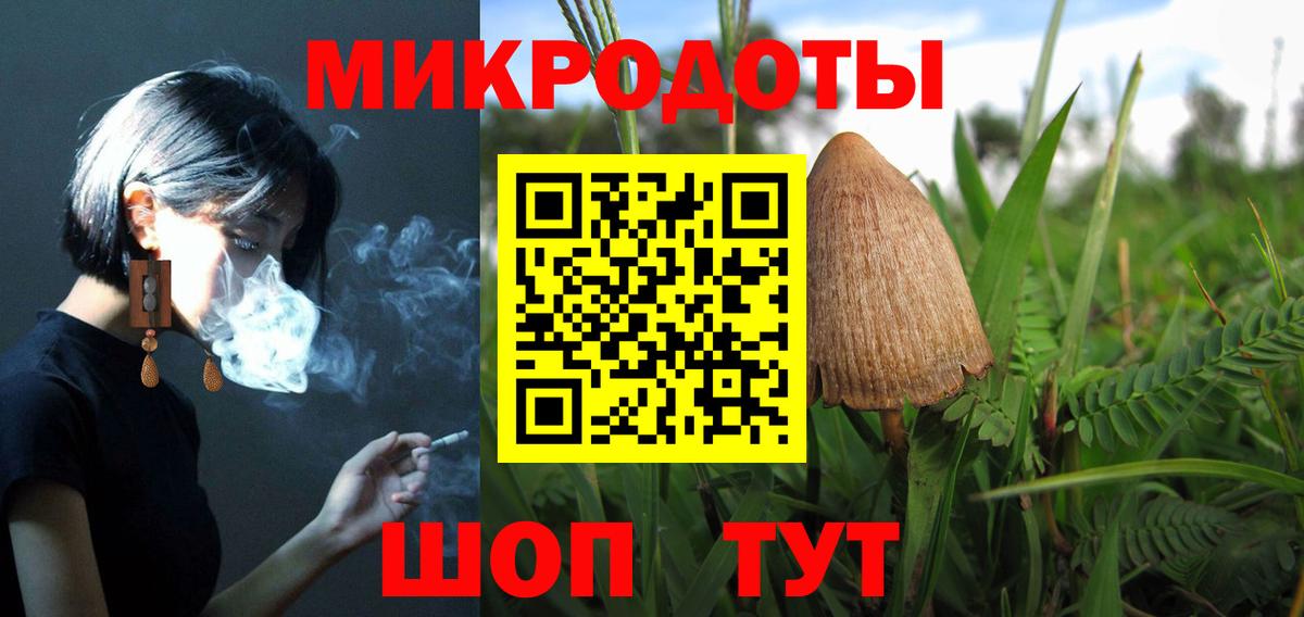 Псилоцибиновые грибы мухоморы  продажа наркотиков  Кировск  Вход с VPN 